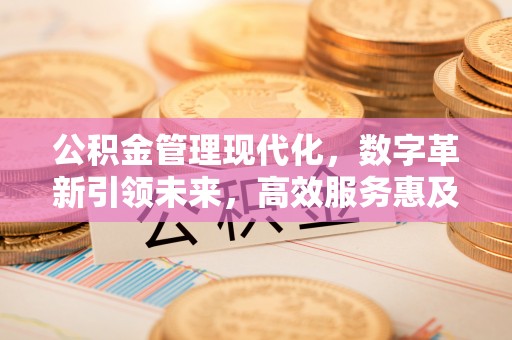 耒阳公积金管理现代化，数字革新引领未来，高效服务惠及民生
