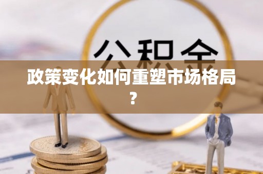 耒阳政策变化如何重塑市场格局？