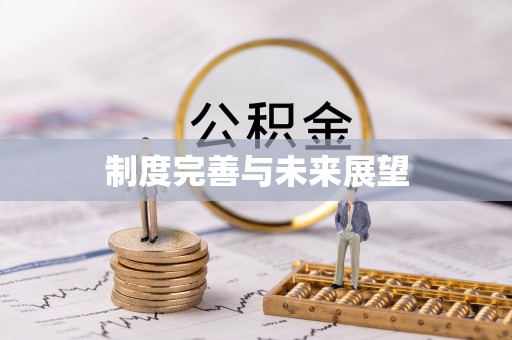 耒阳制度完善与未来展望