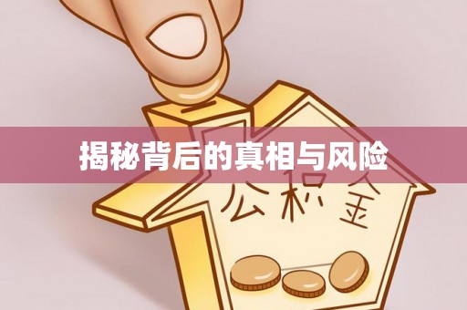 耒阳揭秘背后的真相与风险