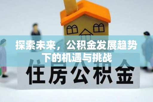 耒阳探索未来，公积金发展趋势下的机遇与挑战