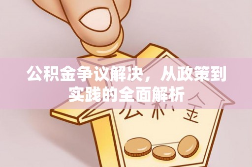 耒阳公积金争议解决，从政策到实践的全面解析