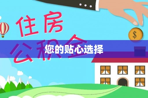 耒阳您的贴心选择